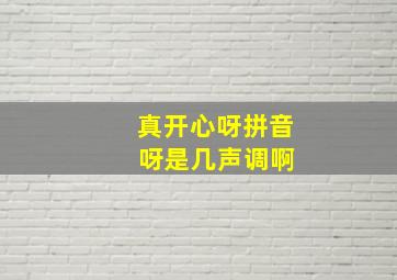 真开心呀拼音 呀是几声调啊